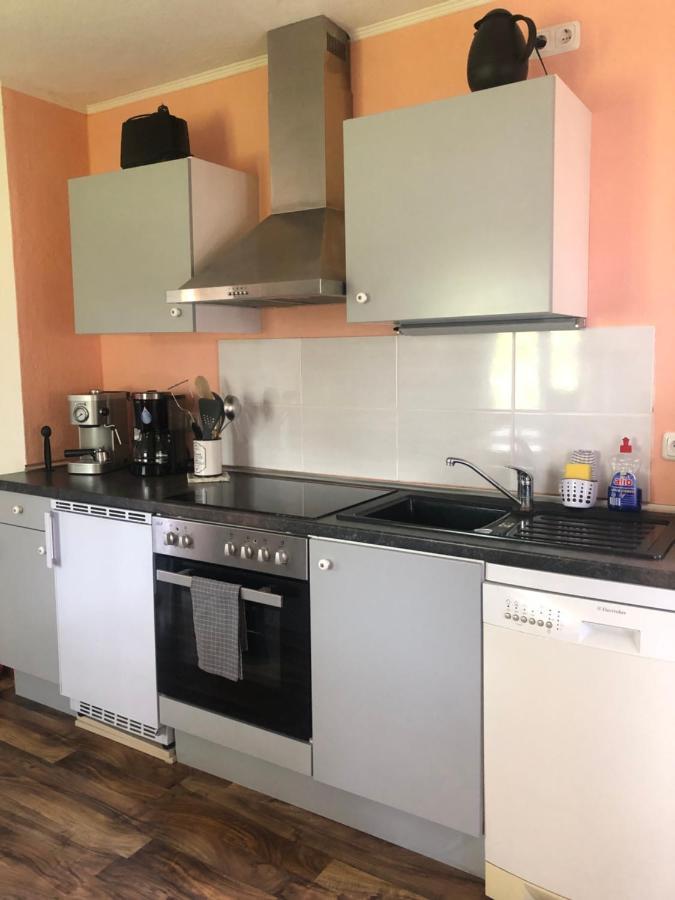 Apartament Wohlfuehloase Dresden Nickern Zewnętrze zdjęcie