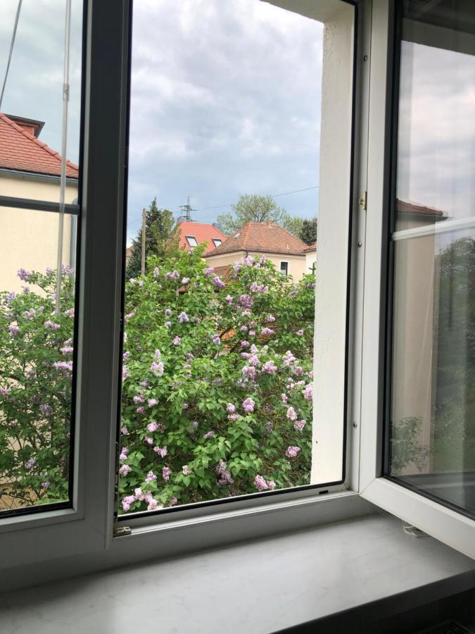 Apartament Wohlfuehloase Dresden Nickern Zewnętrze zdjęcie